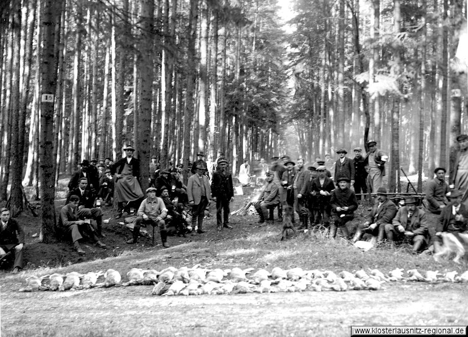 Große Jagd im Forst von Bad Klosterlausnitz bei Hermsdorf am 04.11.1931 