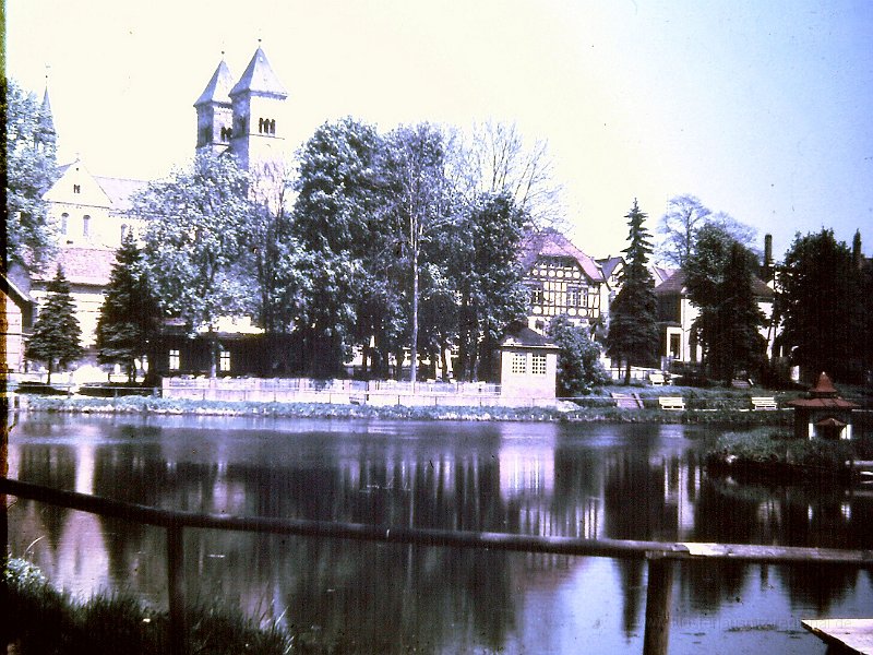 1959_Teich-09.JPG