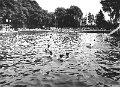 1970_Freibad-03