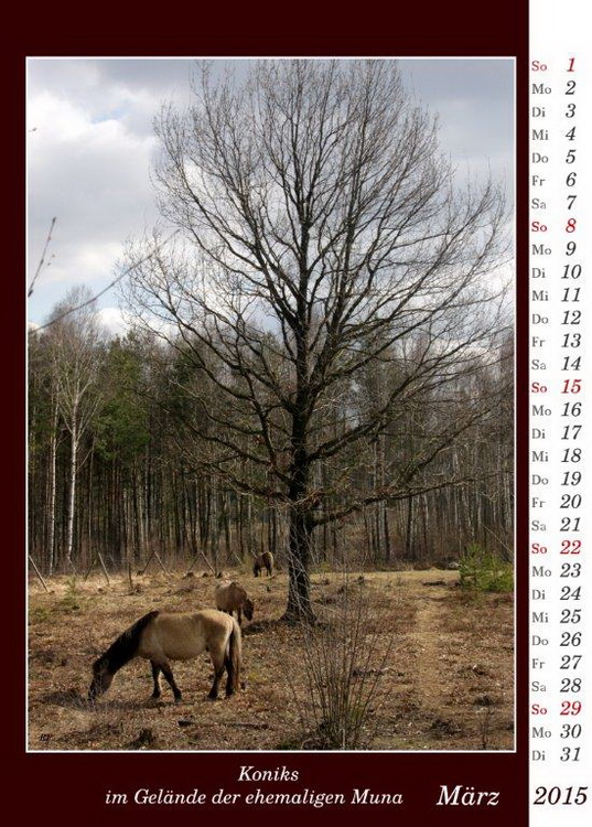 Kalender 2015