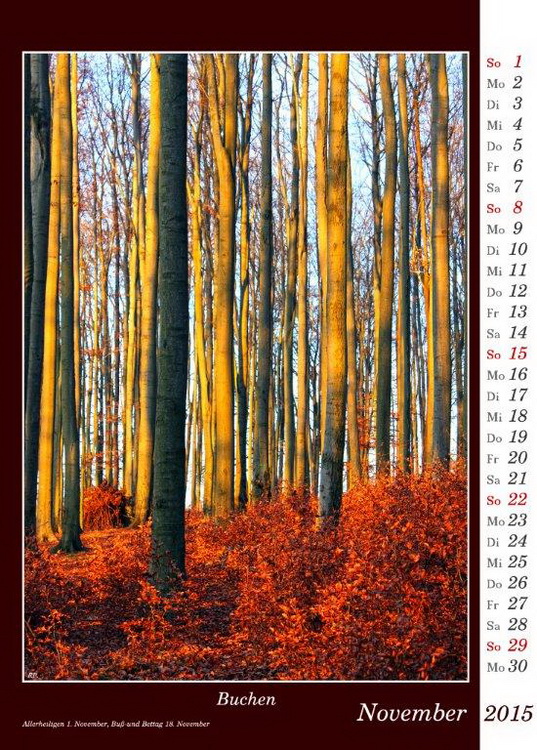 Kalender 2015