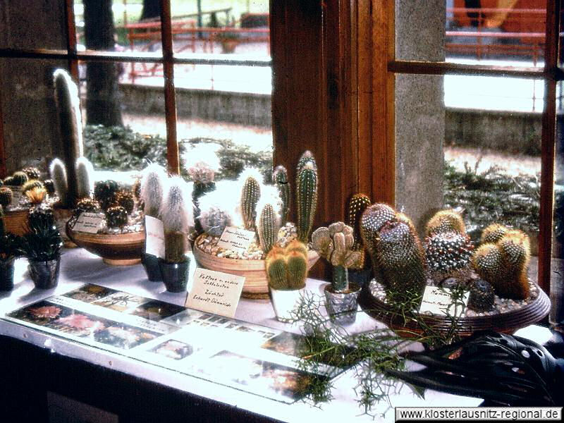 1977_Gartenausstellung-005